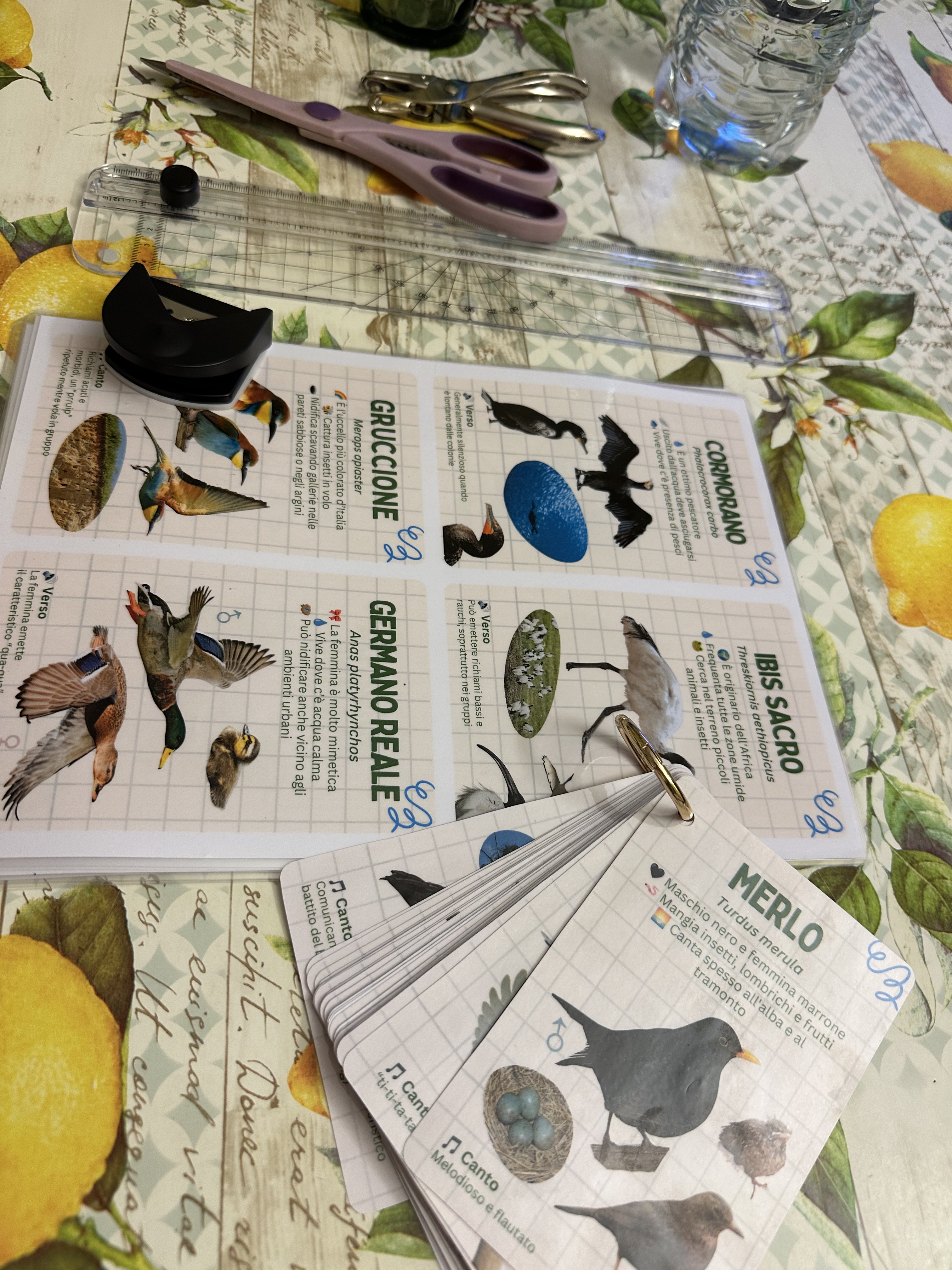 Dettaglio delle schede naturalistiche tascabili
